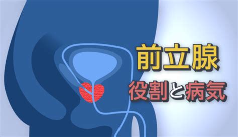 射精の我慢は前立腺炎の原因になるか。考えられる可。